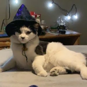 Meet your Posher, Kyle